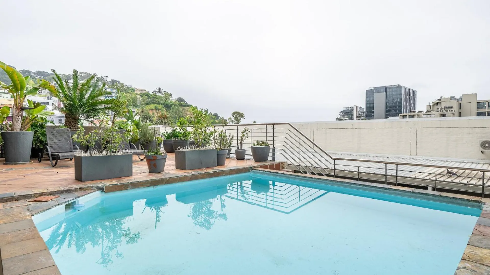City Bowl Serenity Cape Town Apartment